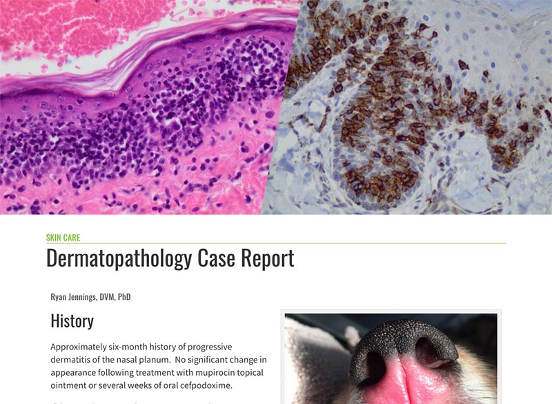 dermatopathology case report